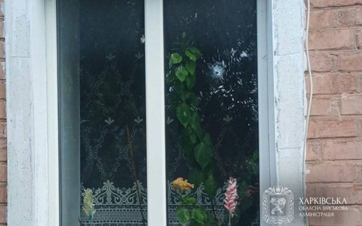 Ворог атакував Харківщину дронами і ракетами. На фермі загинули тварини