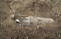 У Сартані трактор підірвався на міні