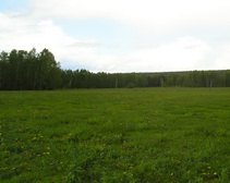 Введение рынка земли в Украине нужно только пенсионерам, - эксперт