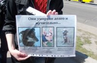 Рада усилила наказание за жестокое обращение с животными