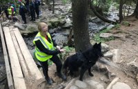 На Говерле до сих пор ищут 6-летнего мальчика, заблудившегося в субботу