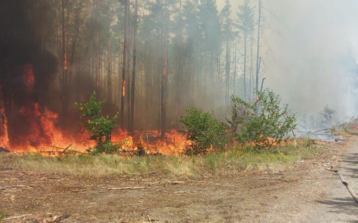 У Чорнобильській зоні відчуження зафіксували чотири осередки пожеж