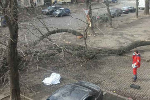 У результаті урагану в Одесі загинула жінка