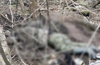 ЗСУ знищили близько 780 окупантів за день, – Генштаб