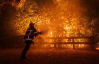 У Франції і Греції продовжують вирувати масштабні лісові пожежі