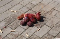 Внаслідок російської атаки по Херсону загинув підліток, ще одна дитина у важкому стані (оновлено)