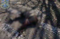 Зранку ворог обстріляв Білозерську громаду на Херсонщині, загинула жінка
