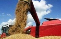 Зернотрейдеры прекратили закупку украинской пшеницы