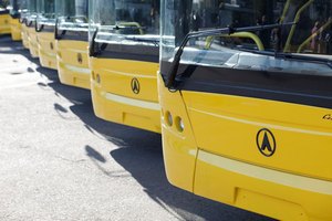 ЛАЗ планирует построить завод в Бразилии