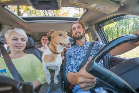 BlaBlaCar стал платным