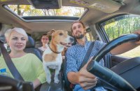 BlaBlaCar стал платным