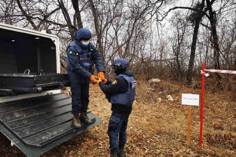На Донбассе за неделю изъяли и уничтожили более 700 боеприпасов