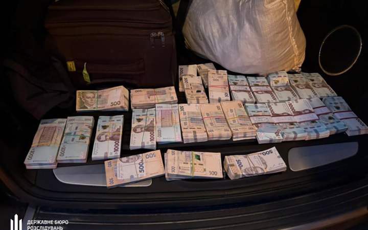 ДБР викрило схему незаконної вирубки дубів у шести областях
