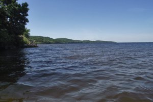 Прокуратура отбирает у Бакая 3 гектара на берегу Каневского водохранилища