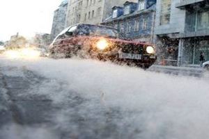 Улицу в центре Риги засыпало пухом