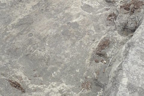 В Полтавской области на раскопках нашли скифское золото и оружие