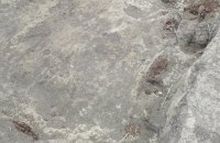 У Полтавській області на розкопках знайшли скіфське золото і зброю