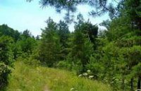 Сохранить природу в новых заповедниках Днепропетровской области будет нелегко, – эксперт