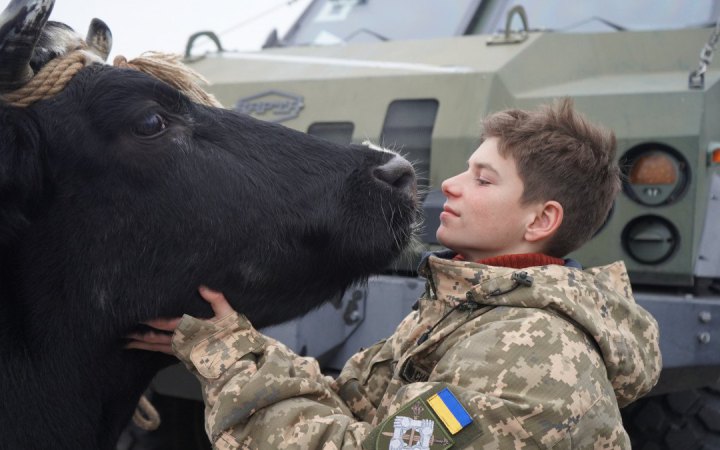 На Берлінале презентували українсько-естонський кіноальманах «Війна очима тварин»