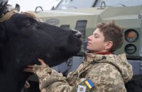 На Берлінале презентували українсько-естонський кіноальманах «Війна очима тварин»