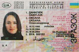 Могилев хочет выдавать права на 10 лет