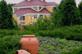 Опіумна квіточка і загублений хутір Януковича