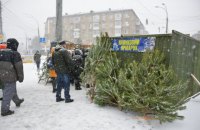 За нарушение правил продажи елок составлено 235 протоколов, нанесен ущерб более, чем 400 тыс. грн