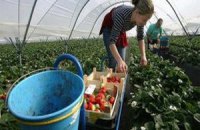 Европейцы массово едут на заработки в Германию