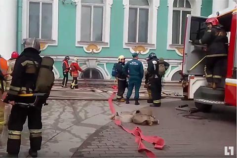 В результате пожара в Эрмитаже пострадали музейные коты (Обновлено)