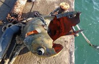 В Одеській області виявили морську міну