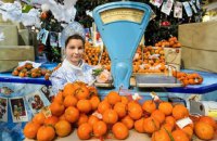 В Россию начали поставлять фрукты и овощи из Сирии