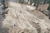 Киевские власти решили снести велопарк в Голосеевском лесу