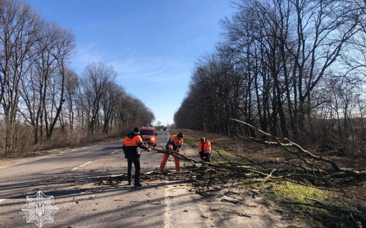 Через негоду на Львівщині зафіксовані відключення світла