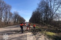 Через негоду на Львівщині зафіксовані відключення світла