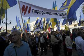 Завтра «Батькивщина» соберется под мэрией Киева