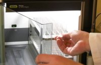 В дитячому садку у Львові спалах гострої кишкової інфекції: госпіталізовано 8 дітей