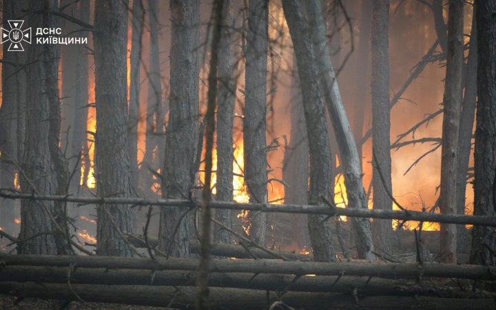 На Київщині ліквідовують масштабну лісову пожежу