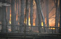 На Київщині ліквідовують масштабну лісову пожежу