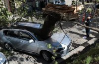 В центре Львова дерево раздавило автомобиль депутата 
