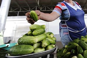 Цены на продукты в марте выросли на 1,8%