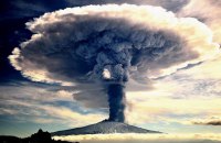 Siena International Photo Awards: лучшие фотографии дикой природы 2016