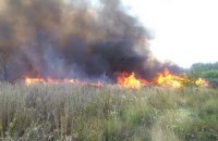 При пожаре сухой травы под Александрией пострадали четверо подростков