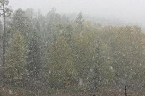 В Карпатах выпадет снег