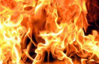 В Киеве из-за пожара в ветклинике погибло пять животных