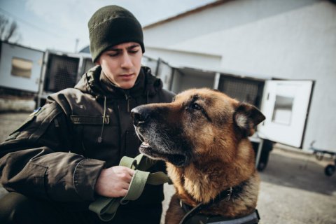 Нацгвардия закупила новый транспорт для служебных собак