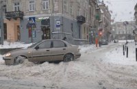 Садовый попросил львовян помочь с уборкой снега