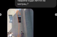 Держкіно вимагає пояснень від переможця пітчингу, який для зйомки фільму шукав котів, що мали стрибати з 2 поверху