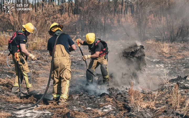 У Франції українські рятувальники допомогли загасити пожежу, що загрожувала населеному пункту