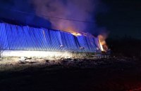 Під час пожежі на фермі в Мукачеві загинули 165 свиней