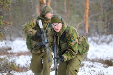 НАТО привело в повышенную боеготовность 40 000 военных из-за действий России, - Die Welt